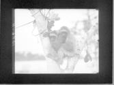 [Untitled]