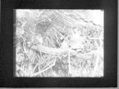 [Untitled]