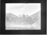 [Untitled]
