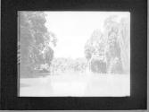 [Untitled]