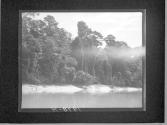 [Untitled]