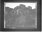 [Untitled]