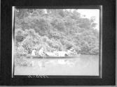 [Untitled]