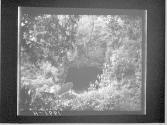 [Untitled]