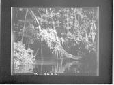 [Untitled]