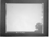 [Untitled]