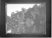 [Untitled]
