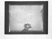 [Untitled]