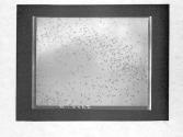 [Untitled]