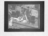 [Untitled]