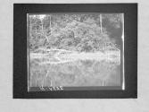 [Untitled]