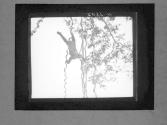 [Untitled]