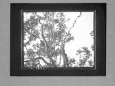 [Untitled]