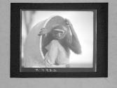 [Untitled]