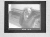 [Untitled]