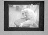 [Untitled]