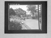 [Untitled]