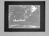 [Untitled]