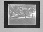 [Untitled]