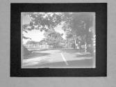 [Untitled]