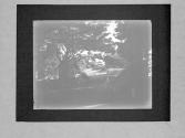 [Untitled]
