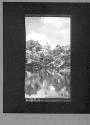 [Untitled]
