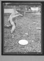 [Untitled]