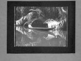 [Untitled]