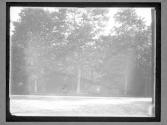 [Vanderbilts "Idle Hour" Estate]