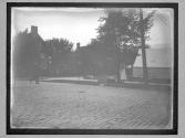 [Mckinley Assasination]