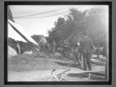 [Mckinley Assasination]