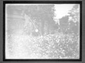 [Mckinley Assasination]