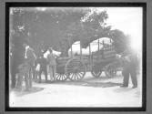 [Mckinley Assasination, Niagara Carting Co. Wagon]