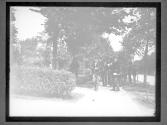 [Mckinley Assasination]