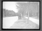 [Mckinley Assasination]