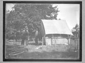 [Mckinley Assasination]