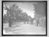 [Mckinley Assasination]