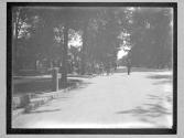[Mckinley Assasination]