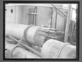[S.S. Mary Flint, Broken Mast On Deck]
