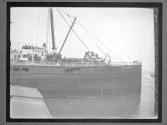 [Spanish Amer. War 2nd Reg't..."Saratoga"]