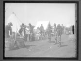 [Spanish Amer. War, 65th Reg't. Camp Black, LI]