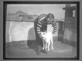 [Dog Training]