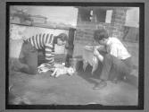 [Dog Training]