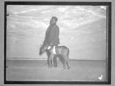 [Smallest Horse in the World]