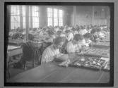 [Ingersoll Watch Co., Work Conditions]