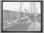 [Alfred's 'Dynamite' Sloop]