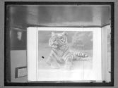[Tigers]