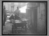 [Maceration of Money]