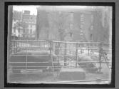 [Hippos in NY Zoo]
