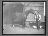 [Race Horses]